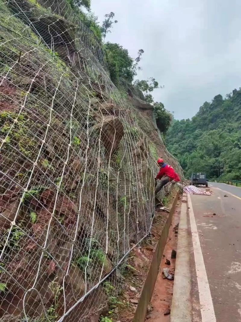 临沂苍山县边坡绿化防护
